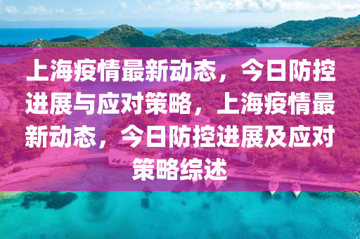 上海疫情最新动态，今日防控进展与应对策略，上海疫情最新动态，今日防控进展及应对策略综述