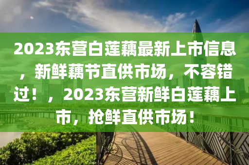 2023东营白莲藕最新上市信息，新鲜藕节直供市场，不容错过！，2023东营新鲜白莲藕上市，抢鲜直供市场！