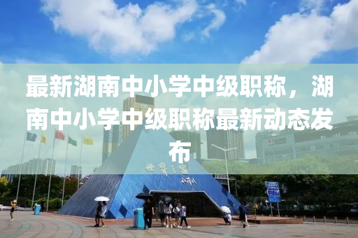 最新湖南中小学中级职称，湖南中小学中级职称最新动态发布