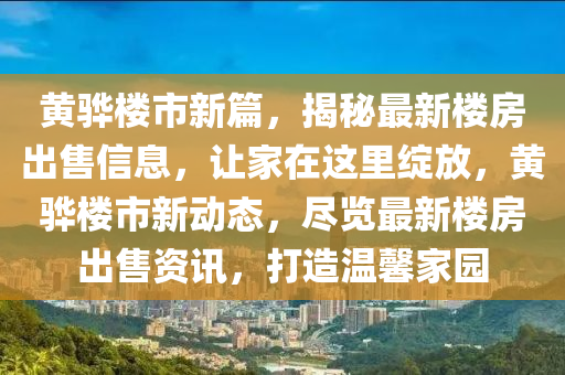 黄骅楼市新篇，揭秘最新楼房出售信息，让家在这里绽放，黄骅楼市新动态，尽览最新楼房出售资讯，打造温馨家园