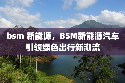 bsm 新能源，BSM新能源汽车引领绿色出行新潮流