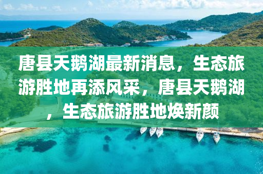 唐县天鹅湖最新消息，生态旅游胜地再添风采，唐县天鹅湖，生态旅游胜地焕新颜