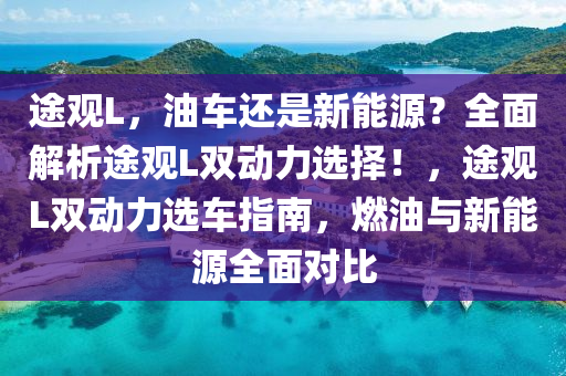 途观L，油车还是新能源？全面解析途观L双动力选择！，途观L双动力选车指南，燃油与新能源全面对比