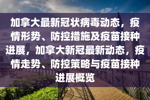 加拿大最新冠状病毒动态，疫情形势、防控措施及疫苗接种进展，加拿大新冠最新动态，疫情走势、防控策略与疫苗接种进展概览