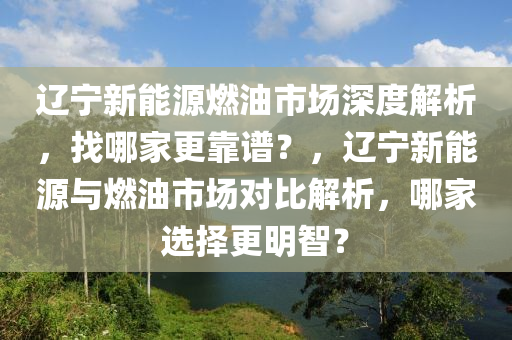 辽宁新能源燃油市场深度解析，找哪家更靠谱？，辽宁新能源与燃油市场对比解析，哪家选择更明智？