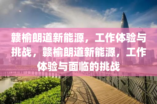 赣榆朗道新能源，工作体验与挑战，赣榆朗道新能源，工作体验与面临的挑战