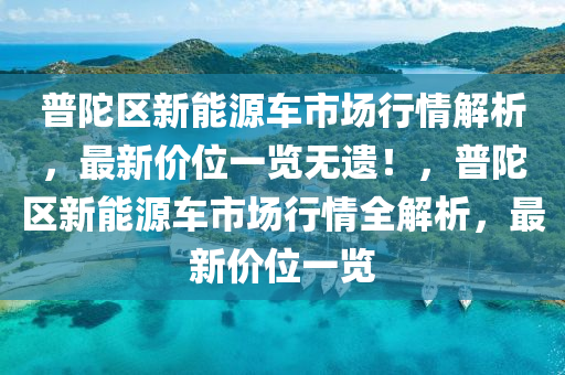 普陀区新能源车市场行情解析，最新价位一览无遗！，普陀区新能源车市场行情全解析，最新价位一览