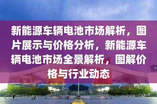 新能源车辆电池市场解析，图片展示与价格分析，新能源车辆电池市场全景解析，图解价格与行业动态