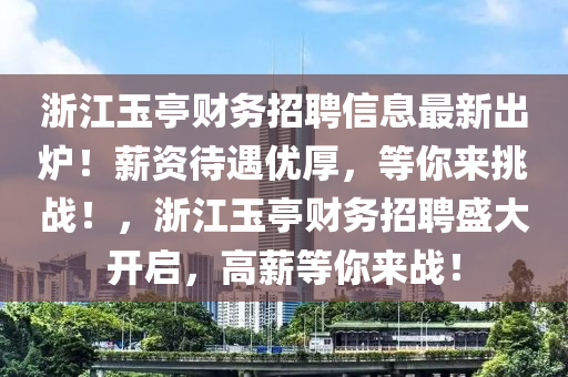 浙江玉亭财务招聘信息最新出炉！薪资待遇优厚，等你来挑战！，浙江玉亭财务招聘盛大开启，高薪等你来战！