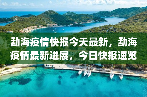 勐海疫情快报今天最新，勐海疫情最新进展，今日快报速览