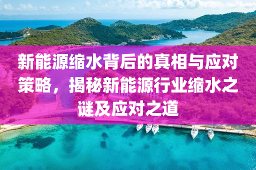 新能源缩水背后的真相与应对策略，揭秘新能源行业缩水之谜及应对之道