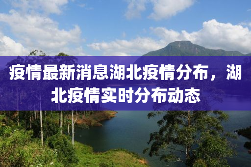 疫情最新消息湖北疫情分布，湖北疫情实时分布动态