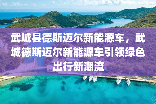 武城县德斯迈尔新能源车，武城德斯迈尔新能源车引领绿色出行新潮流