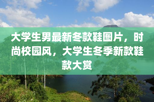 大学生男最新冬款鞋图片，时尚校园风，大学生冬季新款鞋款大赏