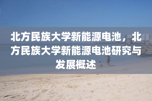 北方民族大学新能源电池，北方民族大学新能源电池研究与发展概述