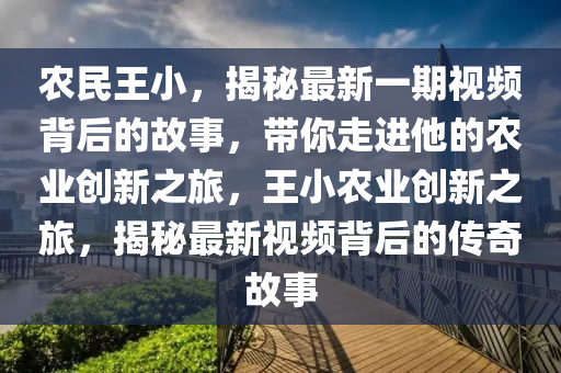 农民王小，揭秘最新一期视频背后的故事，带你走进他的农业创新之旅，王小农业创新之旅，揭秘最新视频背后的传奇故事