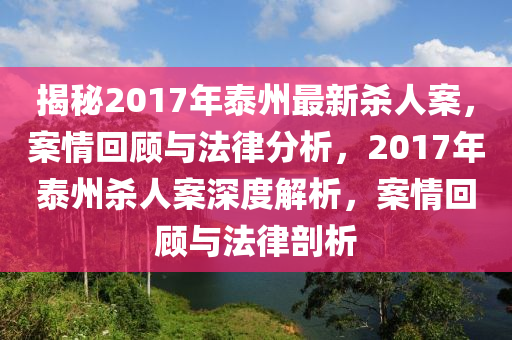 揭秘2017年泰州最新杀人案，案情回顾与法律分析，2017年泰州杀人案深度解析，案情回顾与法律剖析