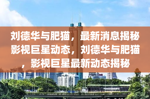 刘德华与肥猫，最新消息揭秘影视巨星动态，刘德华与肥猫，影视巨星最新动态揭秘