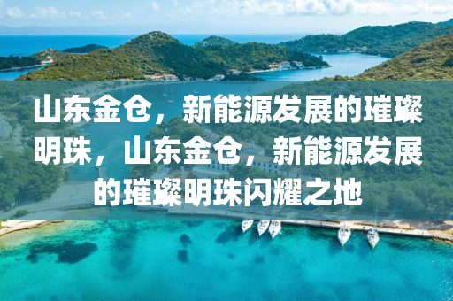 山东金仓，新能源发展的璀璨明珠，山东金仓，新能源发展的璀璨明珠闪耀之地