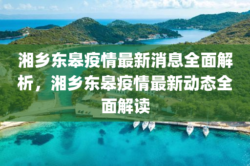 湘乡东皋疫情最新消息全面解析，湘乡东皋疫情最新动态全面解读