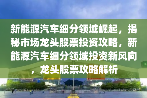 新能源汽车细分领域崛起，揭秘市场龙头股票投资攻略，新能源汽车细分领域投资新风向，龙头股票攻略解析