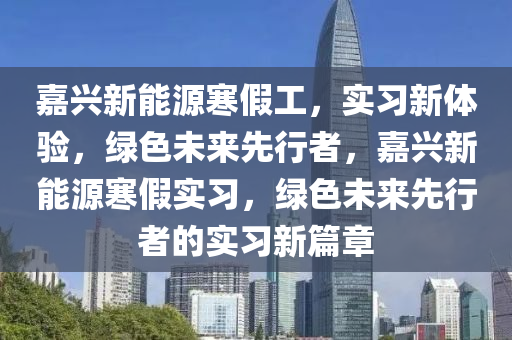 嘉兴新能源寒假工，实习新体验，绿色未来先行者，嘉兴新能源寒假实习，绿色未来先行者的实习新篇章