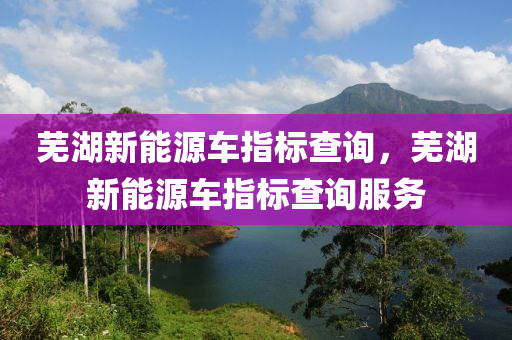 芜湖新能源车指标查询，芜湖新能源车指标查询服务