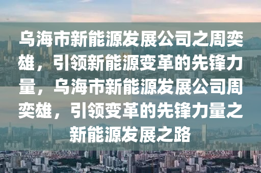 乌海市新能源发展公司之周奕雄，引领新能源变革的先锋力量，乌海市新能源发展公司周奕雄，引领变革的先锋力量之新能源发展之路