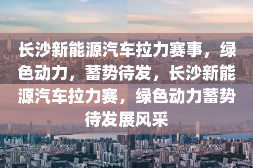 长沙新能源汽车拉力赛事，绿色动力，蓄势待发，长沙新能源汽车拉力赛，绿色动力蓄势待发展风采