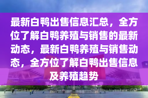 最新白鸭出售信息汇总，全方位了解白鸭养殖与销售的最新动态，最新白鸭养殖与销售动态，全方位了解白鸭出售信息及养殖趋势