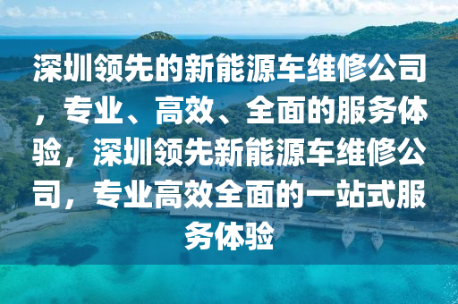 深圳领先的新能源车维修公司，专业、高效、全面的服务体验，深圳领先新能源车维修公司，专业高效全面的一站式服务体验