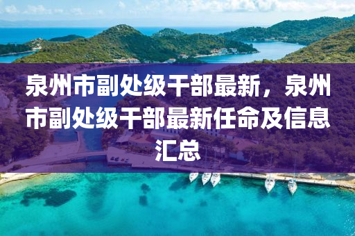 泉州市副处级干部最新，泉州市副处级干部最新任命及信息汇总