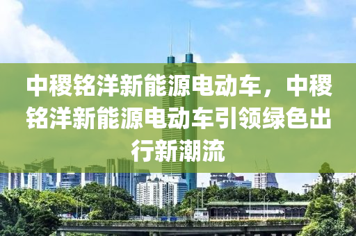 中稷铭洋新能源电动车，中稷铭洋新能源电动车引领绿色出行新潮流