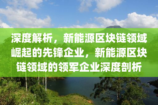 深度解析，新能源区块链领域崛起的先锋企业，新能源区块链领域的领军企业深度剖析