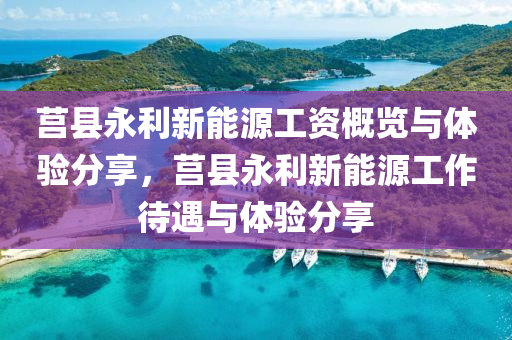 莒县永利新能源工资概览与体验分享，莒县永利新能源工作待遇与体验分享