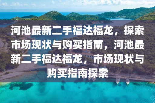 河池最新二手福达福龙，探索市场现状与购买指南，河池最新二手福达福龙，市场现状与购买指南探索