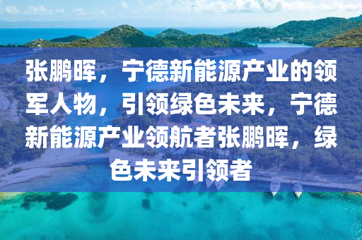 张鹏晖，宁德新能源产业的领军人物，引领绿色未来，宁德新能源产业领航者张鹏晖，绿色未来引领者