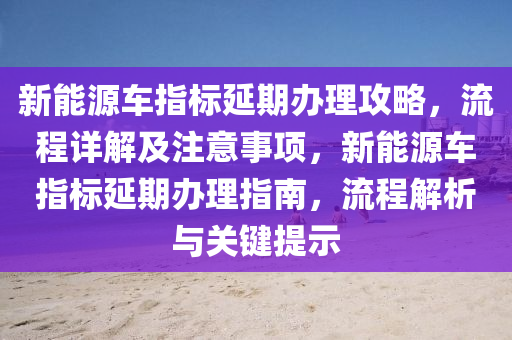 新能源车指标延期办理攻略，流程详解及注意事项，新能源车指标延期办理指南，流程解析与关键提示