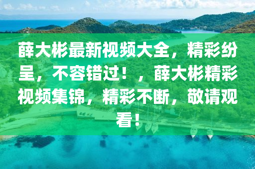 薛大彬最新视频大全，精彩纷呈，不容错过！，薛大彬精彩视频集锦，精彩不断，敬请观看！