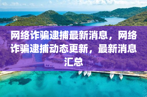 网络诈骗逮捕最新消息，网络诈骗逮捕动态更新，最新消息汇总