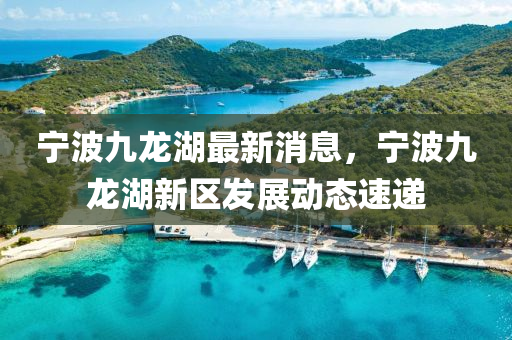 宁波九龙湖最新消息，宁波九龙湖新区发展动态速递