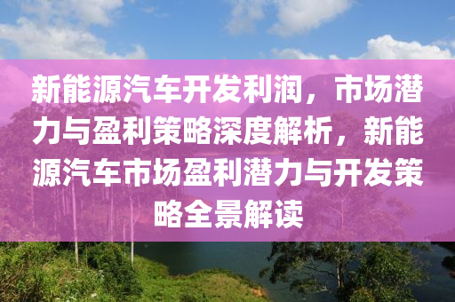 新能源汽车开发利润，市场潜力与盈利策略深度解析，新能源汽车市场盈利潜力与开发策略全景解读