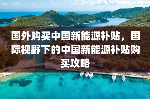 国外购买中国新能源补贴，国际视野下的中国新能源补贴购买攻略