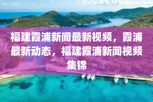 福建霞浦新闻最新视频，霞浦最新动态，福建霞浦新闻视频集锦