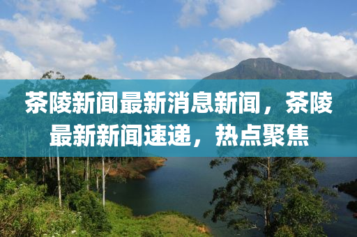 茶陵新闻最新消息新闻，茶陵最新新闻速递，热点聚焦