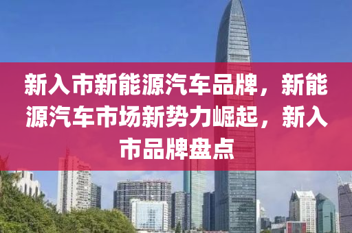 新入市新能源汽车品牌，新能源汽车市场新势力崛起，新入市品牌盘点