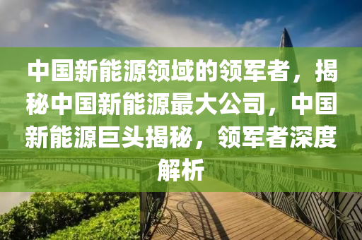 中国新能源领域的领军者，揭秘中国新能源最大公司，中国新能源巨头揭秘，领军者深度解析