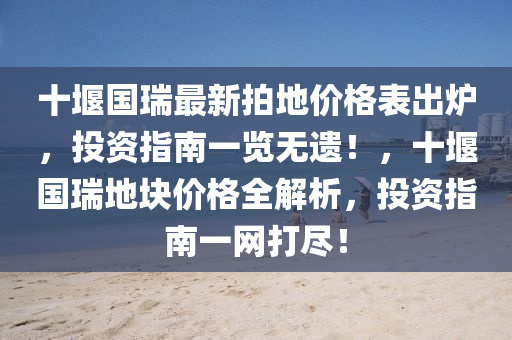 十堰国瑞最新拍地价格表出炉，投资指南一览无遗！，十堰国瑞地块价格全解析，投资指南一网打尽！