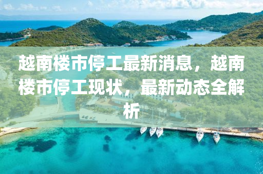 越南楼市停工最新消息，越南楼市停工现状，最新动态全解析