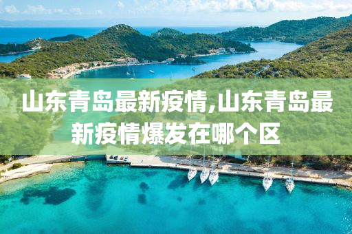 山东青岛最新疫情,山东青岛最新疫情爆发在哪个区